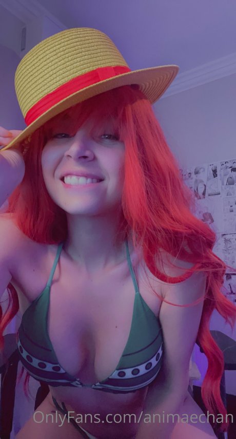 Animaechan photo 35