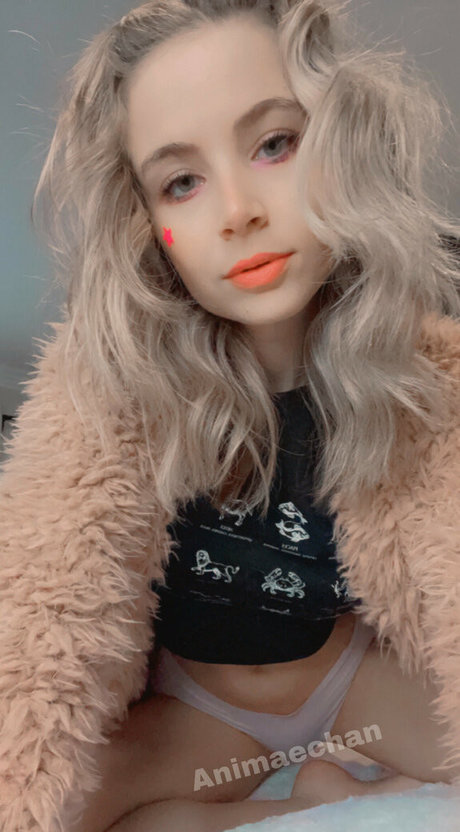 Animaechan photo 228