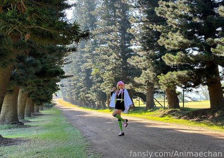 Animaechan photo 289