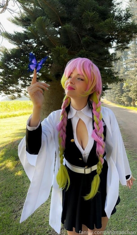 Animaechan photo 292