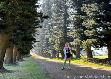Animaechan photo 293