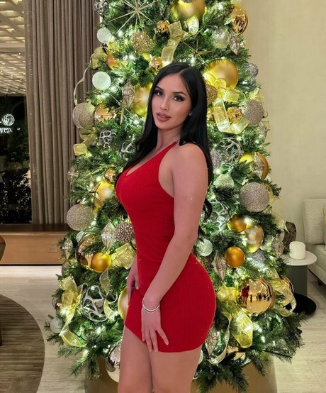 Anissagodina photo 4