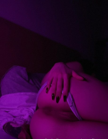 Apofigeaa photo 13