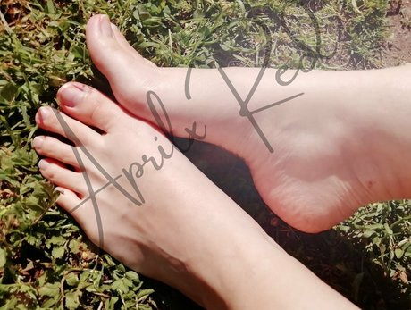 Aprilxredfree photo 42