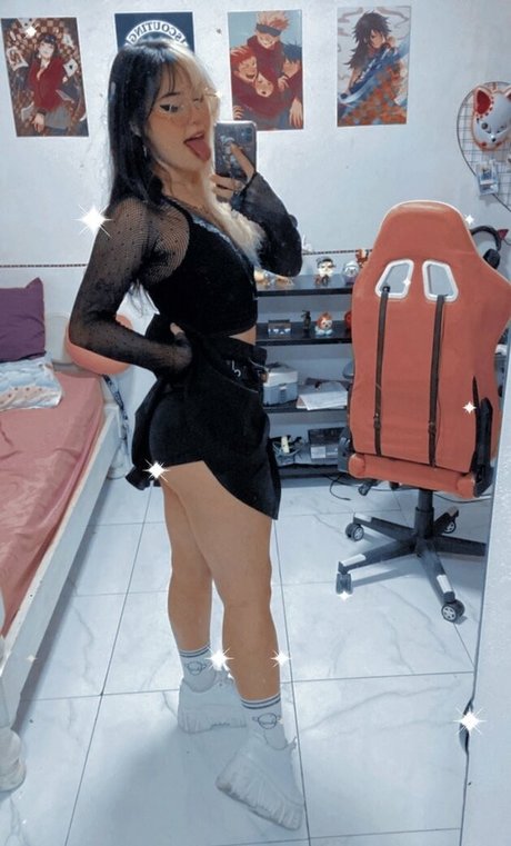 Apuddii photo 2