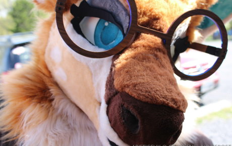 Arcticfux photo 19