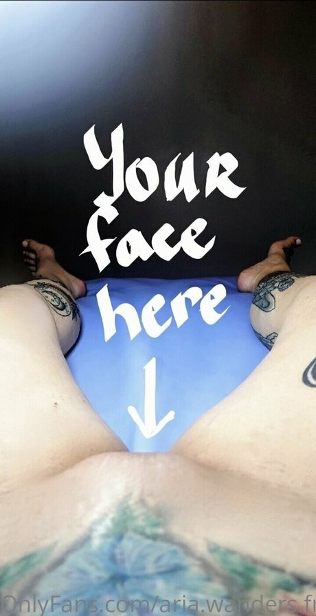 Aria.wanders.free photo 2