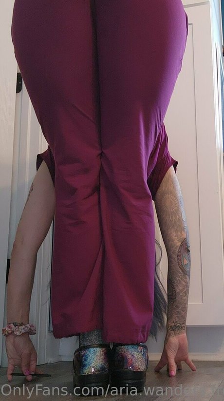 Aria.wanders.free photo 3