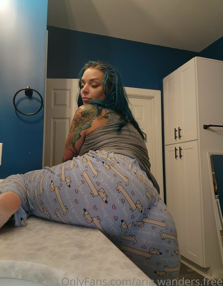 Aria.wanders.free photo 17