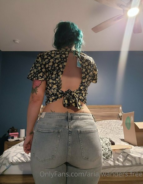 Aria.wanders.free photo 18