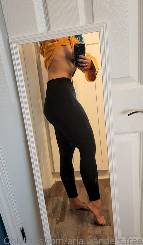 Aria.wanders.free photo 25