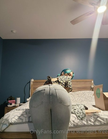 Aria.wanders.free photo 28