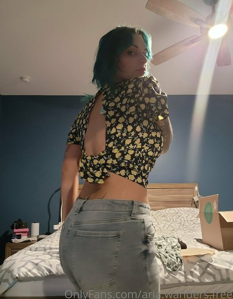 Aria.wanders.free photo 29