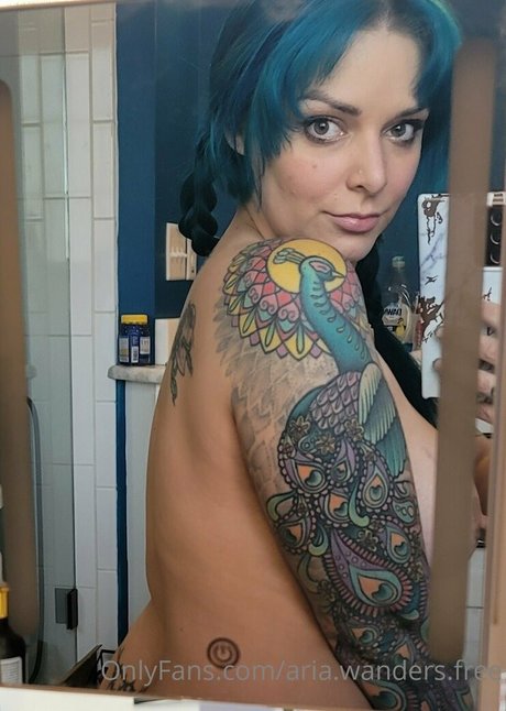 Aria.wanders.free photo 35