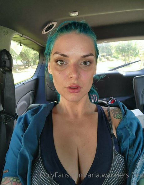 Aria.wanders.free photo 37