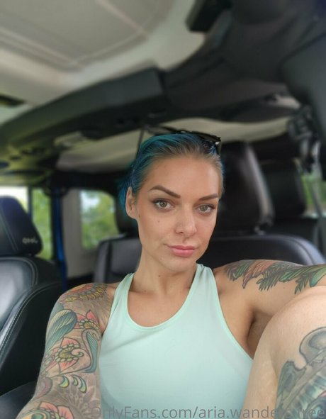 Aria.wanders.free photo 51