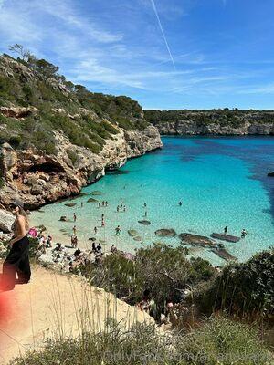 arianavanx photo 67