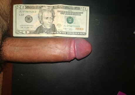 Ariesuncut photo 2