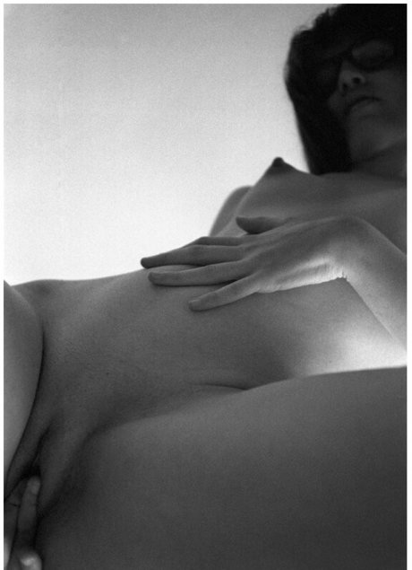 Aril's Chest photo 16