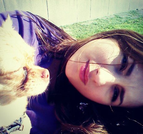Artdikaya photo 131