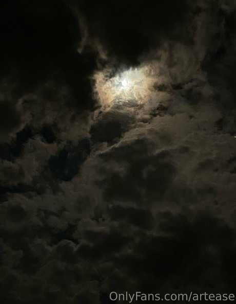 Artease photo 12