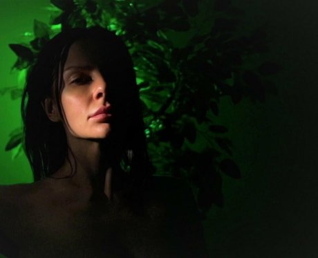 Artease photo 13