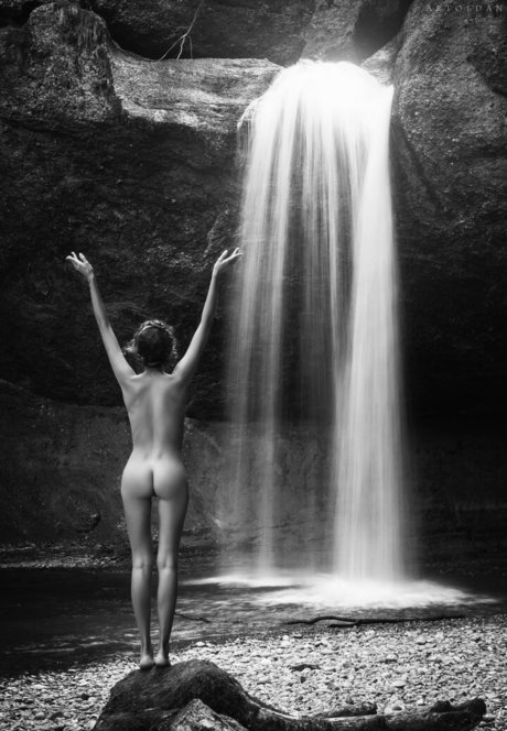 Artofdanworld photo 42