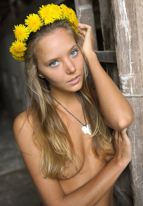 Artofdanworld photo 47