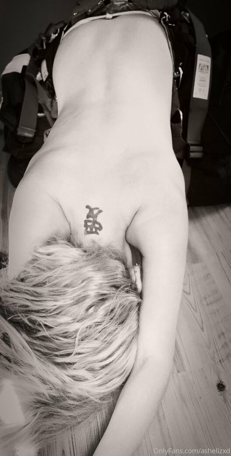 Ashelizxd photo 4