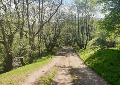 Ashley Ashton photo 324