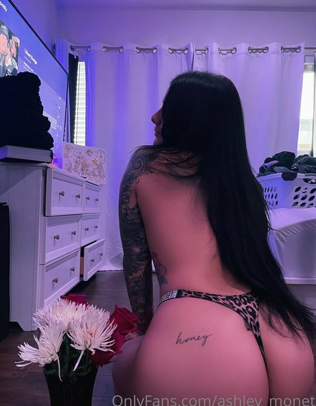 Ashley Monet photo 16