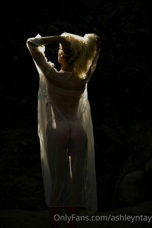 Ashley Taylor photo 3