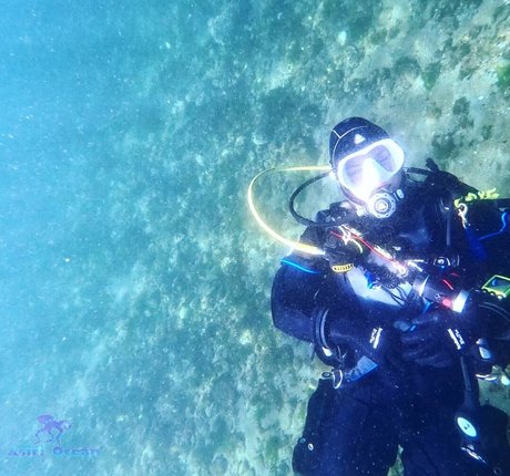 Asiri Ocean photo 280