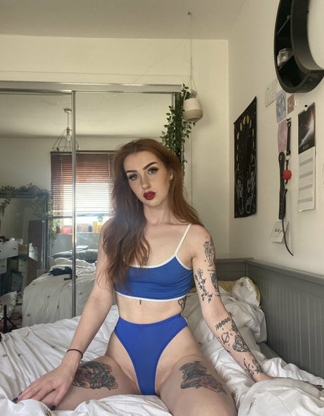 Athenaaster photo 43