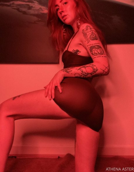 Athenaaster photo 289