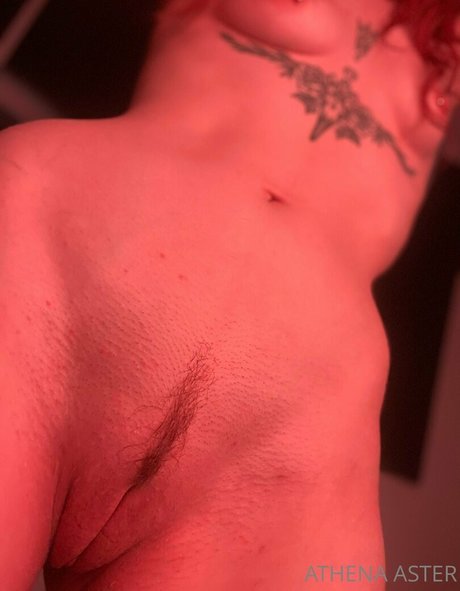 Athenaaster photo 365