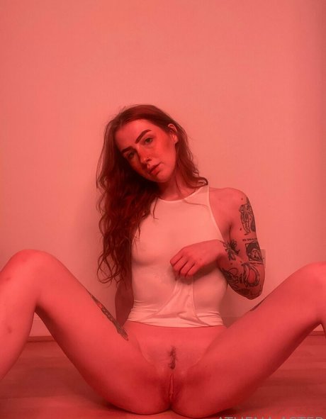 Athenaaster photo 373