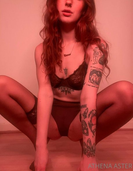 Athenaaster photo 379