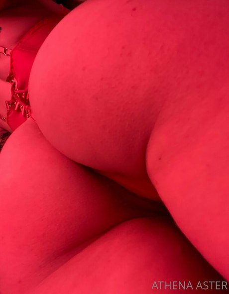 Athenaaster photo 388