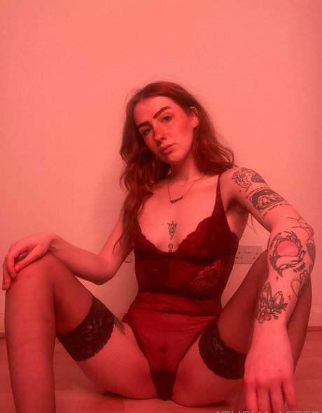 Athenaaster photo 393