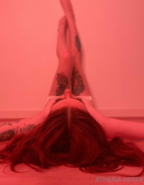 Athenaaster photo 400