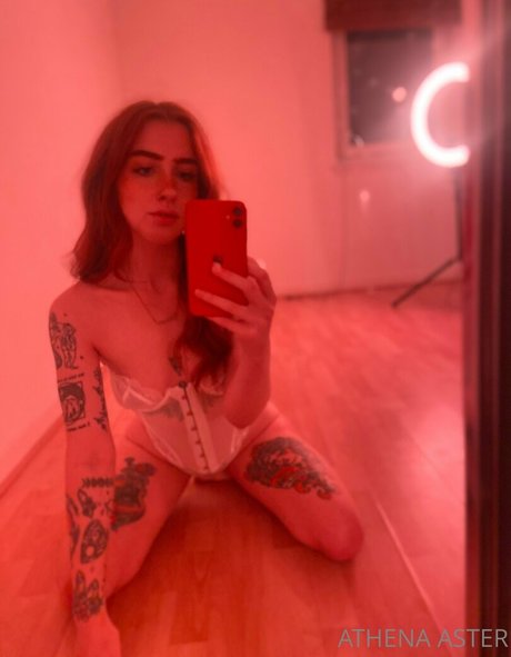 Athenaaster photo 401