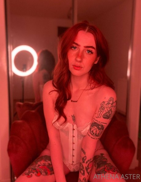 Athenaaster photo 403