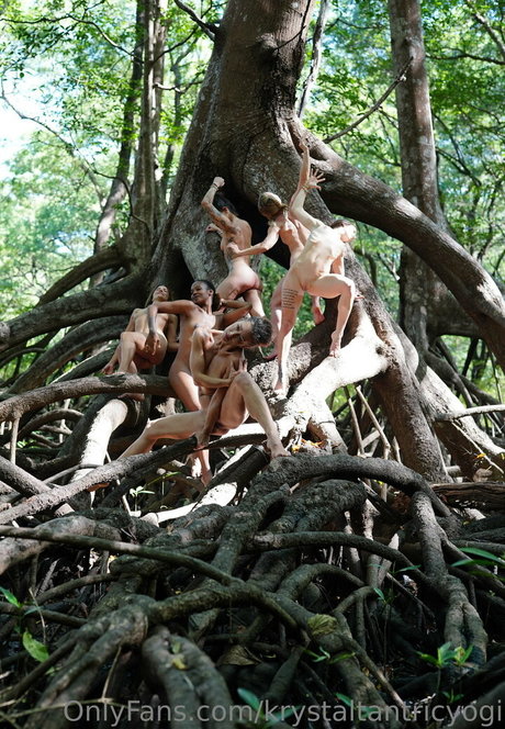 Audriasana photo 1