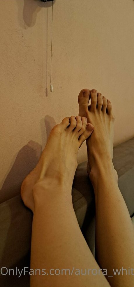 Aurora_whitewhale photo 8