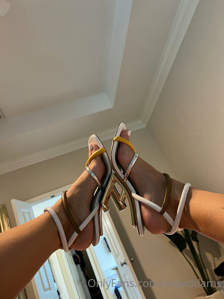 Ava Addams photo 530