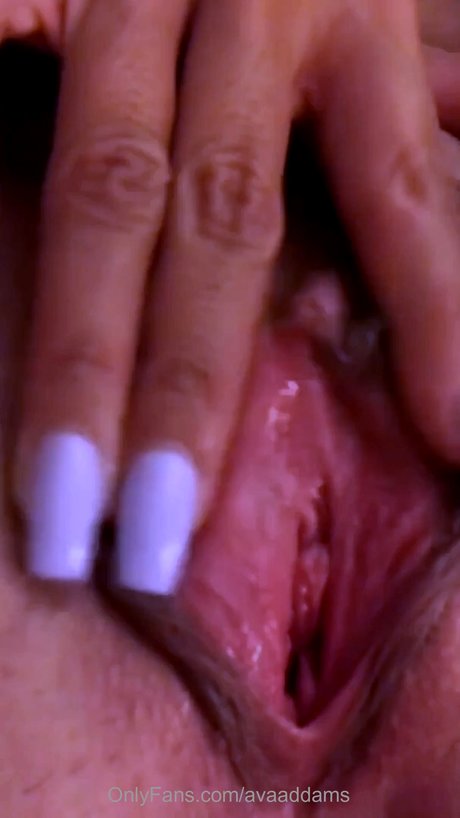 Ava Addams photo 1169