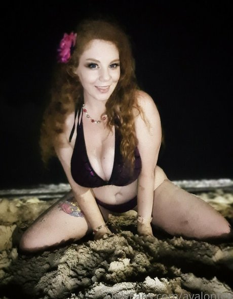 Avalonfey photo 11