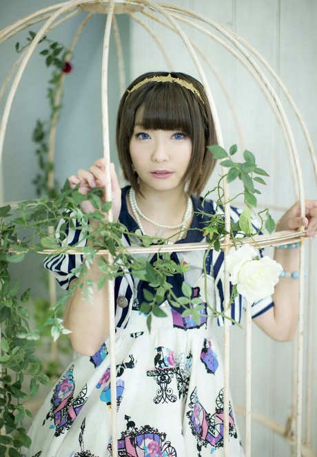 Ayame_apricot photo 315