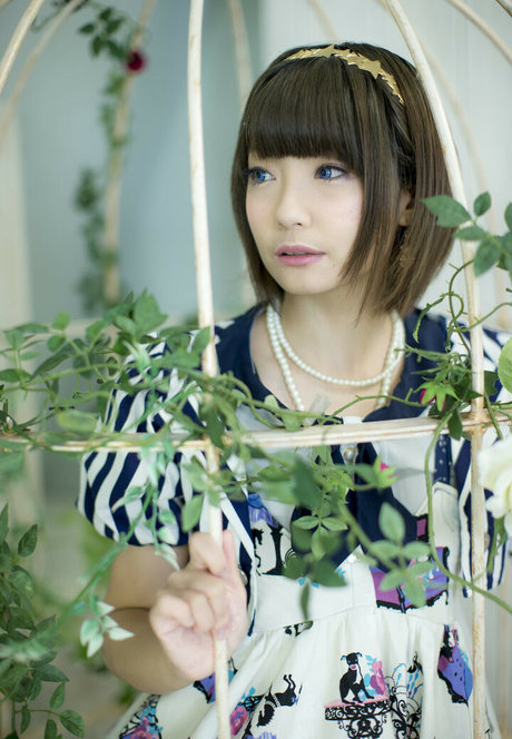 Ayame_apricot photo 316